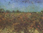 Vincent Van Gogh The Green Vineyard (nn04) china oil painting artist